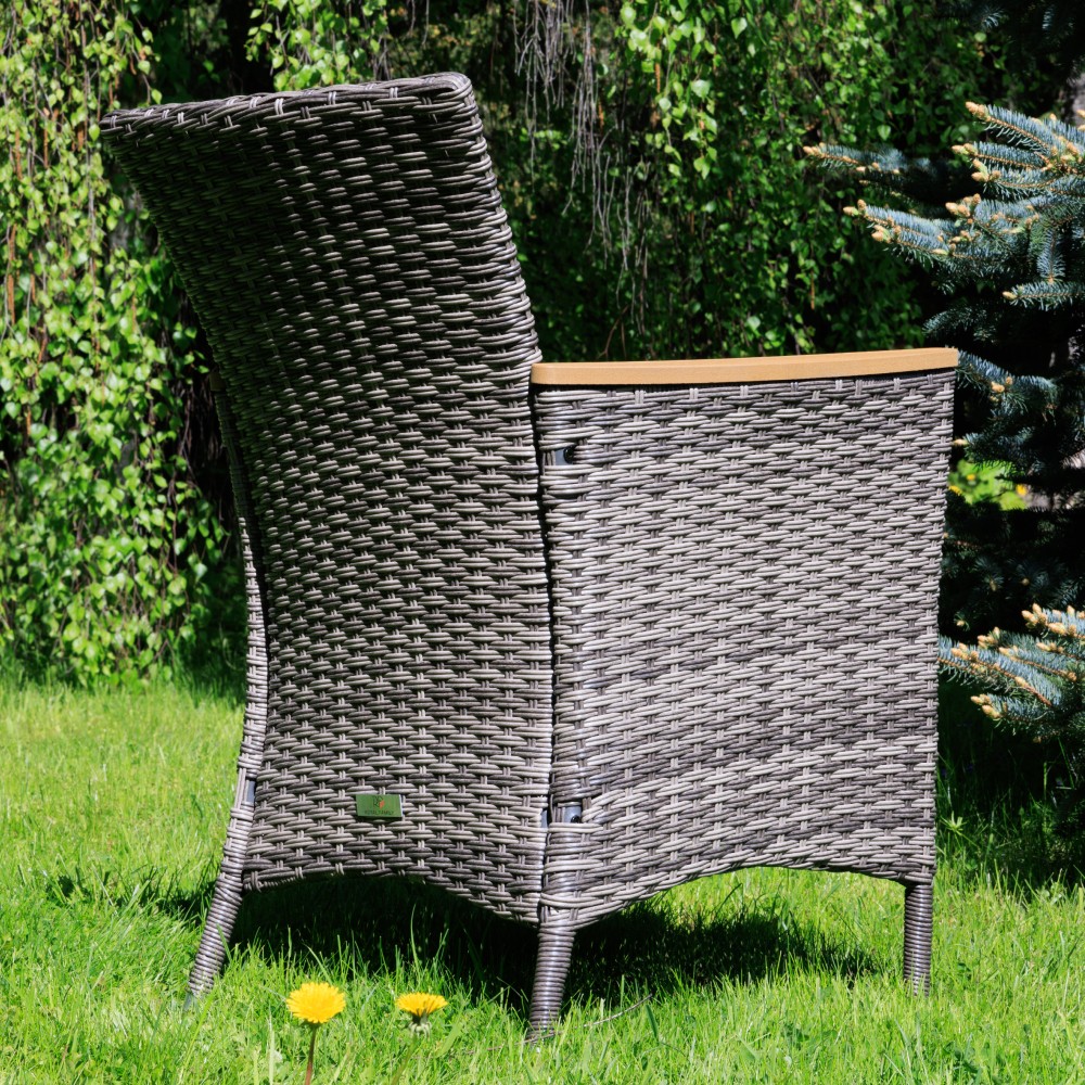 Обеденное кресло Royal Family AMELIA серое 5